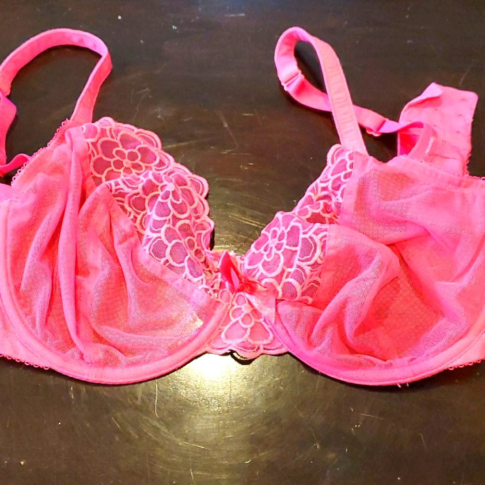 Lane Bryant Bra